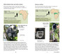 Primates: Quick ID Guide to Africa's Great Apes, True Monkeys and Their Relatives - ISBN 9781775847939 (inside pages 4)