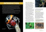 Field Guide to the Spiders of South Africa (2nd edition) - ISBN 9781775847977 (inside pages 2)