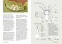 Field Guide to the Spiders of South Africa (2nd edition) - ISBN 9781775847977 (inside pages 3)