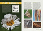 Field Guide to the Spiders of South Africa (2nd edition) - ISBN 9781775847977 (inside pages 4)