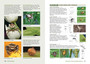 Field Guide to the Spiders of South Africa (2nd edition) - ISBN 9781775847977 (inside pages 5)