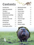 The World of African Wildlife: A Safari Guide for Young Explorers - ISBN 9781775848059 (inside pages 1)