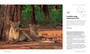 The Last Lions - ISBN 9781775848097 (inside pages 2)