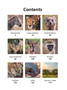 Nature Now: Mammals of Kruger - ISBN 9781775848196 (inside pages 9)