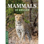Nature Now: Mammals of Kruger - ISBN 9781775848196