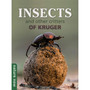 Nature Now: Insects and Other Critters of Kruger - ISBN 9781775848219