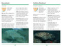 Sasol First Field Guide to Fishes of Southern Africa - ISBN 9781775848257 (inside pages 1)