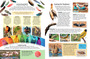 Kids' Birds of Southern Africa - ISBN 9781775848318 (inside pages 5)