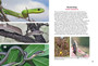 Nature Now: Snakes and Other Reptiles of Kruger - ISBN 9781775848417 (inside pages 4)