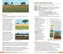 Pocket Guide Trees of Zambia - ISBN 9781775848455 (inside pages 2)