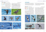 Guide to Seabirds of Southern Africa (2nd edition) - ISBN 9781775848479 (inside pages 3)