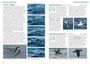 Guide to Seabirds of Southern Africa (2nd edition) - ISBN 9781775848479 (inside pages 6)
