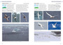 Guide to Seabirds of Southern Africa (2nd edition) - ISBN 9781775848479 (inside pages 8)