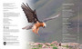 Birds on the Brink: South Africa's Threatened Bird Species and Those Working to Save Them - ISBN 9781775848738 (inside pages 1)