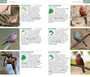Pocket Guide Birds of Botswana - ISBN 9781775848813 (inside pages 1)