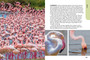 Wildlife of Serengeti & Ngorongoro Conservation Area - ISBN 9781775848837 (inside pages 14)