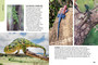 Wildlife of Serengeti & Ngorongoro Conservation Area - ISBN 9781775848837 (inside pages 17)