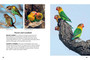 Birds of Serengeti & Ngorongoro Conservation Area - ISBN 9781775848851 (inside pages 5)