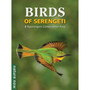 Birds of Serengeti & Ngorongoro Conservation Area - ISBN 9781775848851