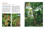 The Ways and Wonders of South African Trees - ISBN 9781775848875 (inside pages 5)