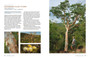 The Ways and Wonders of South African Trees - ISBN 9781775848875 (inside pages 9)