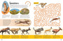 Mammal Safari Activity Book - ISBN 9781775848899 (inside pages 7)