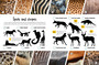 Mammal Safari Activity Book - ISBN 9781775848899 (inside pages 8)