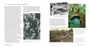 Kirstenbosch: The Most Beautiful Garden in Africa (2nd edition) - ISBN 9781775848950 (inside pages 3)