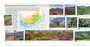 Kirstenbosch: The Most Beautiful Garden in Africa (2nd edition) - ISBN 9781775848950 (inside pages 5)