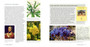 Kirstenbosch: The Most Beautiful Garden in Africa (2nd edition) - ISBN 9781775848950 (inside pages 9)