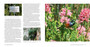 Kirstenbosch: The Most Beautiful Garden in Africa (2nd edition) - ISBN 9781775848950 (inside pages 12)