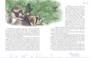 When Bat Was a Bird: And Other Animal Tales from Africa - ISBN 9781868729982 (inside pages 2)