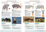 Southern African Mammals Made Simple: Three Easy Steps to Identification - ISBN 9781920572389 (inside pages 3)
