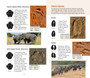 On Track: Quick ID Guide to Southern and East African Animal Tracks - ISBN 9781920572532 (inside pages 1)