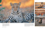 This Is Botswana - ISBN 9781928213383 (inside pages 2)