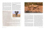 This Is Botswana - ISBN 9781928213383 (inside pages 4)