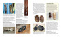 Insektopedie: Die geheime wêreld van Suider-Afrikaanse insekte - ISBN 9781775842248 (inside pages 3)