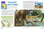 Dinosaurs of Africa - ISBN 9781775847700 (inside pages 2)
