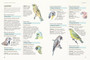 South African Birds by Name: Origins and Meanings - ISBN 9781779890030 (inside pages 3)