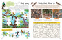Bird Safari Activity Book - ISBN 9781779890504 (inside pages 2)