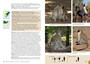 Stuarts' Field Guide to Mammals of Southern Africa: Including Angola, Zambia & Malawi (6th edition) - ISBN 9781779890078 (inside pages 2)