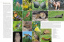 Kirstenbosch: A Visitor's Guide (2nd edition) - ISBN 9781779890115 (inside pages 1)