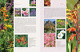 Kirstenbosch: A Visitor's Guide (2nd edition) - ISBN 9781779890115 (inside pages 3)