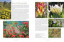 Kirstenbosch: A Visitor's Guide (2nd edition) - ISBN 9781779890115 (inside pages 6)
