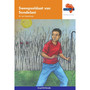 Via Afrika Afrikaans Eerste Addisionele Taal Graad 8 Novelle: Sweepsoldaat van Sondelani - ISBN 9781415441459
