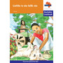 Via Afrika Afrikaans Huistaal Intermediêre Fase Gevlakte Leesboek 8: Liefde is nie lelik nie - ISBN 9781415437452