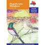 Via Afrika isiNdebele Home Language Intermediate Phase Graded Reader 5: Ukuputla kuka-Mhlotjhana - ISBN 9781415424483