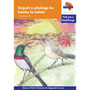 Via Afrika Sepedi Home Language Intermediate Phase Graded Reader 5: Seipati o phologa ka lešoba la nalete - ISBN 9781415439227