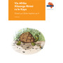Via Afrika Xitsonga Home Language Grade 2 Big Book 3 - ISBN 9781415435434