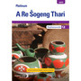 DIGITAL - Platinum A Re Šogeng Thari (Sepedi HL) Grade 12 Teacher's Guide ePDF (1-year licence) - ISBN 9780636174870